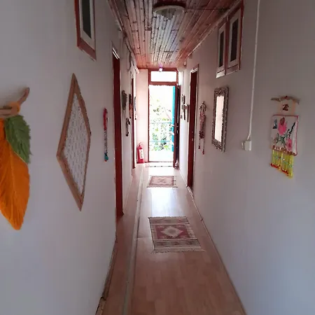 Antonios 2* سيدي