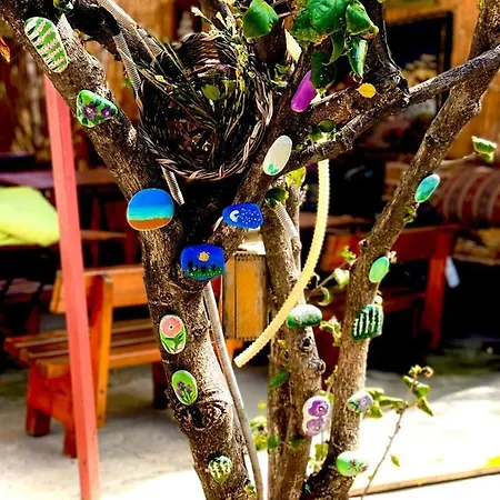 לינה וארוחת בוקר Antonios 2*