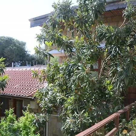 Antonios Oda ve Kahvaltı 2*