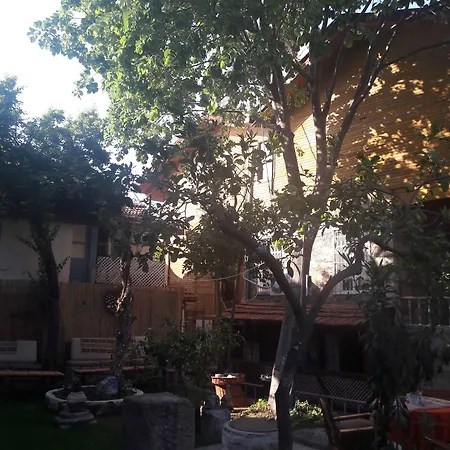 Antonios Oda ve Kahvaltı