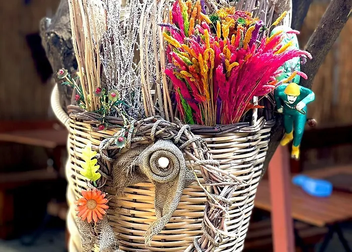 Bed and Breakfast Antonios